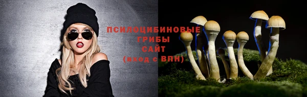 ПСИЛОЦИБИНОВЫЕ ГРИБЫ Аркадак