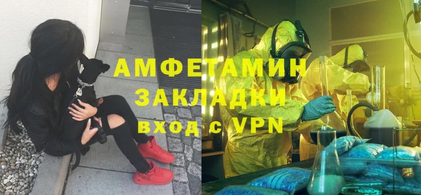 ГАЛЛЮЦИНОГЕННЫЕ ГРИБЫ Бородино