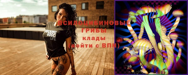 стаф Бронницы